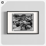 3-37_Dorothea-Lange_blk