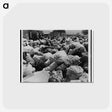 3-37_Dorothea-Lange_postcard