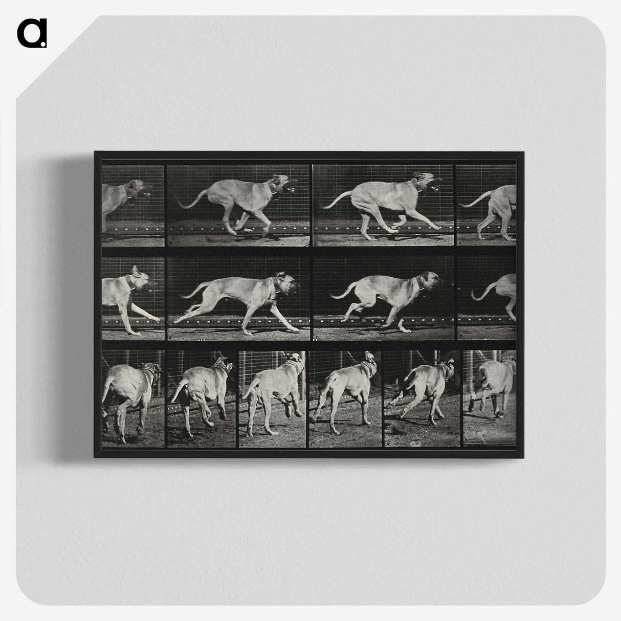 3-37_Eadweard-Muybridge_blk-crop