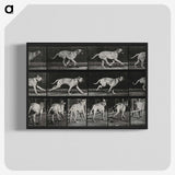 3-37_Eadweard-Muybridge_blk-crop