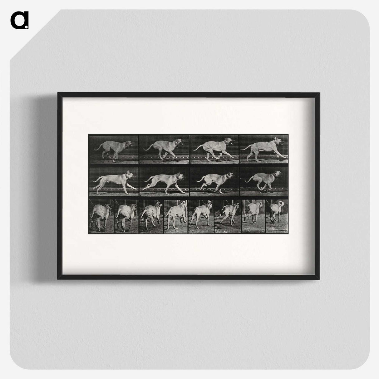 3-37_Eadweard-Muybridge_blk