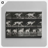 3-37_Eadweard-Muybridge_canvas