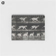 3-37_Eadweard-Muybridge_memo