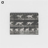 3-37_Eadweard-Muybridge_memo