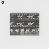 アートメモ帳-Running Dog
 - エドワード マイブリッジ Memo.