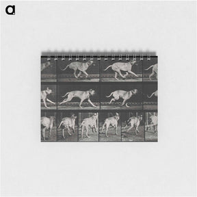 アートメモ帳-Running Dog
 - エドワード マイブリッジ Memo.