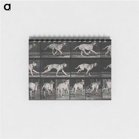 アートメモ帳-Running Dog
 - エドワード マイブリッジ Memo.