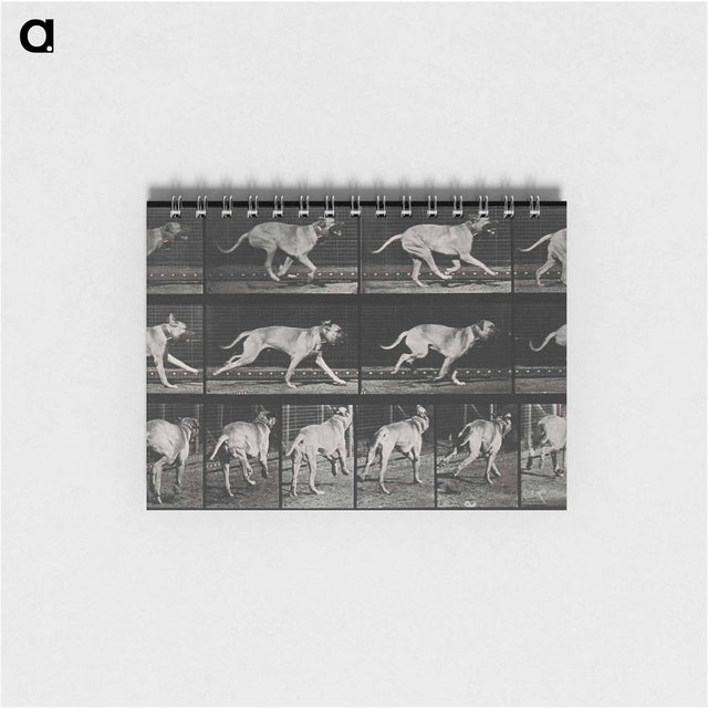 アートメモ帳-Running Dog
 - エドワード マイブリッジ Memo.