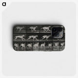 3-37_Eadweard-Muybridge_phone