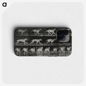 3-37_Eadweard-Muybridge_phone