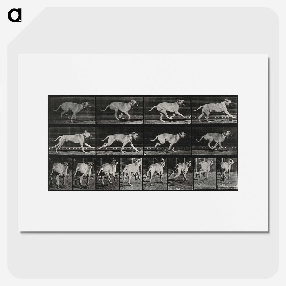 3-37_Eadweard-Muybridge_picture