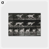 アートポストカード-Running Dog
 - エドワード マイブリッジ Postcard.