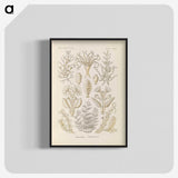 3-37_Ernst-Haeckel_blk-crop