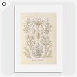 3-37_Ernst-Haeckel_picture
