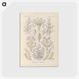 3-37_Ernst-Haeckel_postcard