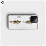 3-37_Ichtyologie-ou-Histoire-naturelle_phone