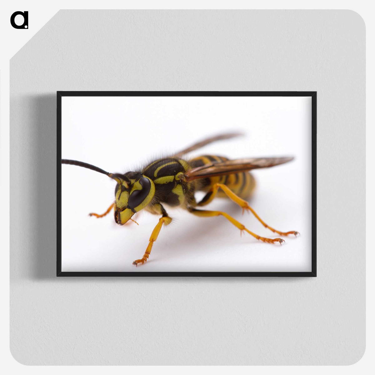 3-37_Insects-Unlocked-Project_blk-crop