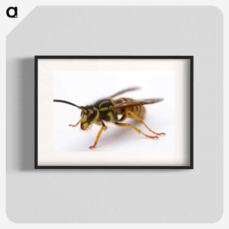 3-37_Insects-Unlocked-Project_blk