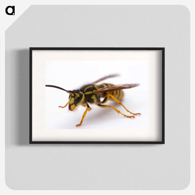 3-37_Insects-Unlocked-Project_blk