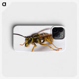 3-37_Insects-Unlocked-Project_phone
