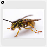 3-37_Insects-Unlocked-Project_picture-crop