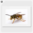 3-37_Insects-Unlocked-Project_picture