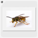 3-37_Insects-Unlocked-Project_picture