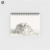 3-37_Jean-Bernard_memo