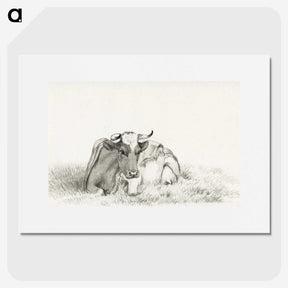 3-37_Jean-Bernard_picture