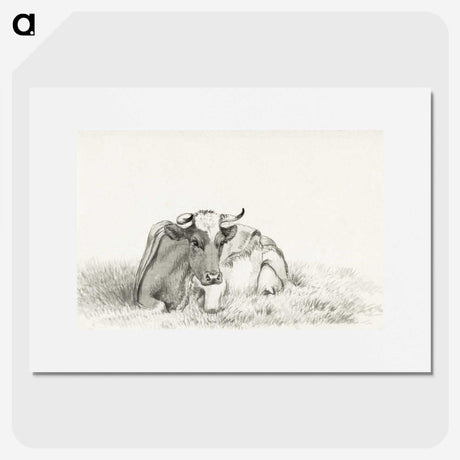 3-37_Jean-Bernard_picture