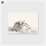 アートポストカード-Lying cow - ジャン ベルナール Postcard.