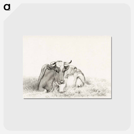 アートポストカード-Lying cow - ジャン ベルナール Postcard.