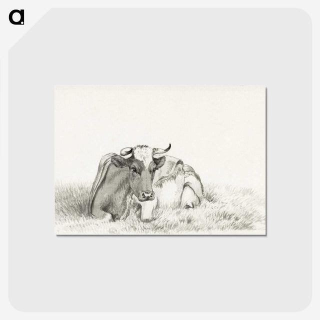 3-37_Jean-Bernard_postcard