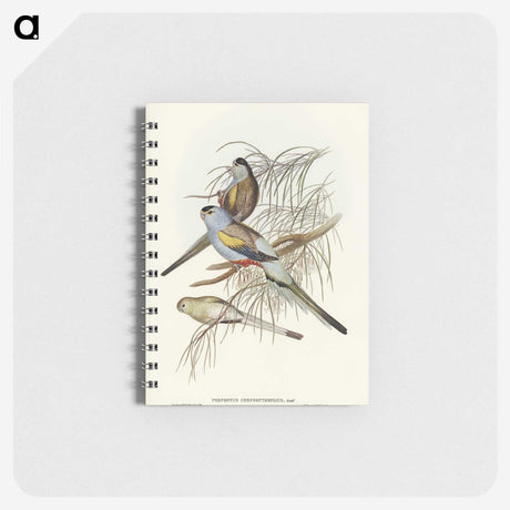 3-37_John-Gould_memo