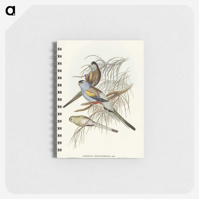 3-37_John-Gould_memo