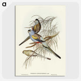3-37_John-Gould_picture-crop