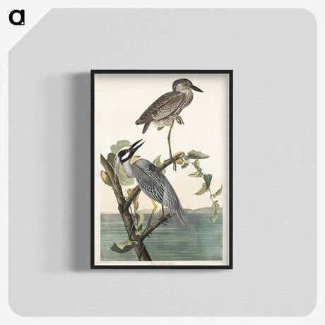 3-37_John-James-Audubon_blk-crop