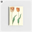 アートメモ帳-Tulipa gesneriana
 - マリア ジビーラ メーリアン Memo.