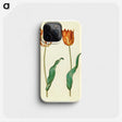 3-37_Maria-Sibylla-Merian_phone