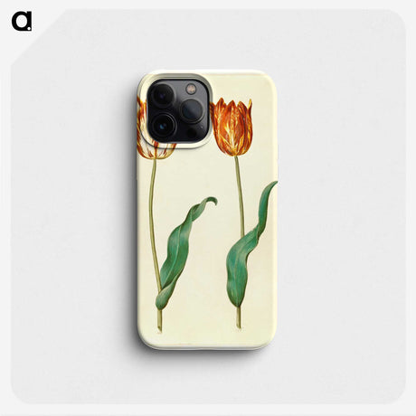 3-37_Maria-Sibylla-Merian_phone