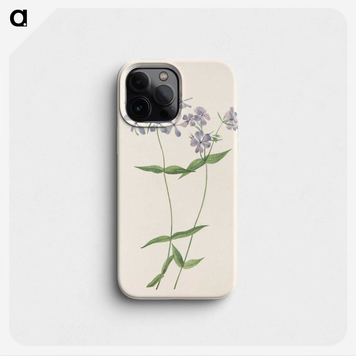 3-37_Mary-Vaux-Walcott_phone