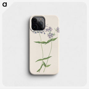 3-37_Mary-Vaux-Walcott_phone