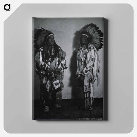 アートパネル-Armando Diaz and an Indian Chief
 - 国立医学図書館 Canvas.