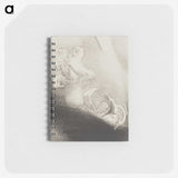 3-37_Odilon-Redon_memo
