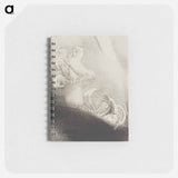 He Falls Head Foremost Into the Abyss - オディロン ルドン Memo.
