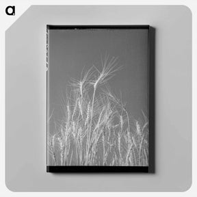 アートパネル-Jersey Homesteads Tailor
 - ラッセル リー Canvas.