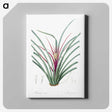 3-37_The-Lilies_canvas