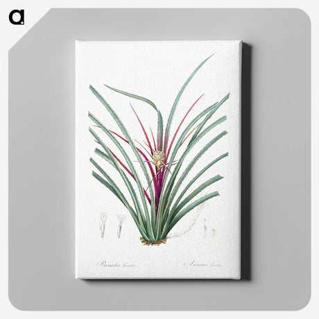 3-37_The-Lilies_canvas