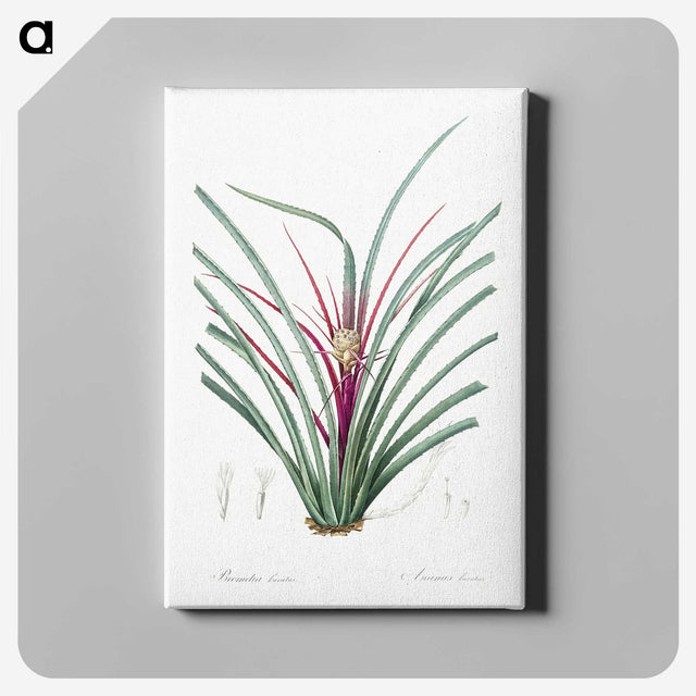 3-37_The-Lilies_canvas