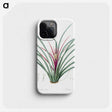3-37_The-Lilies_phone